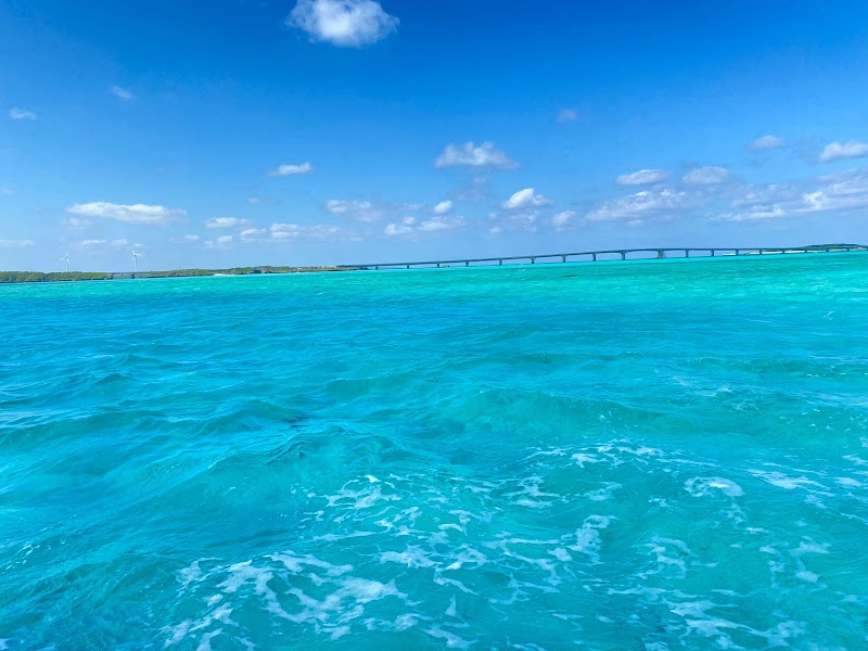 池間島海底観光