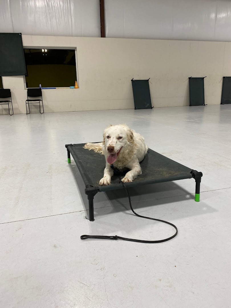 Georgetown Dog Training