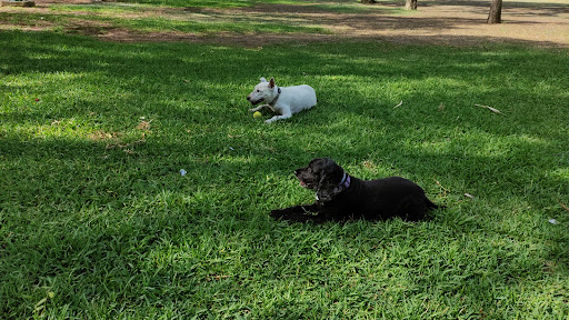 Centro Veterinario La Sed en Sevilla