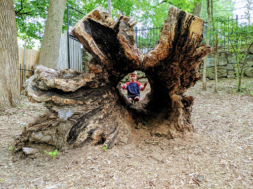 Park «Gladys Potter Park (Humboldt Park)», reviews and photos, 92 Elton St, Providence, RI 02906, USA