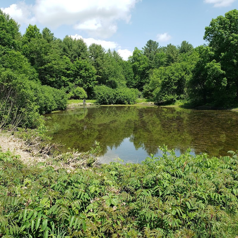 Adams Point WMA