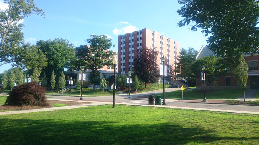 Residencias universitarias en Hartford