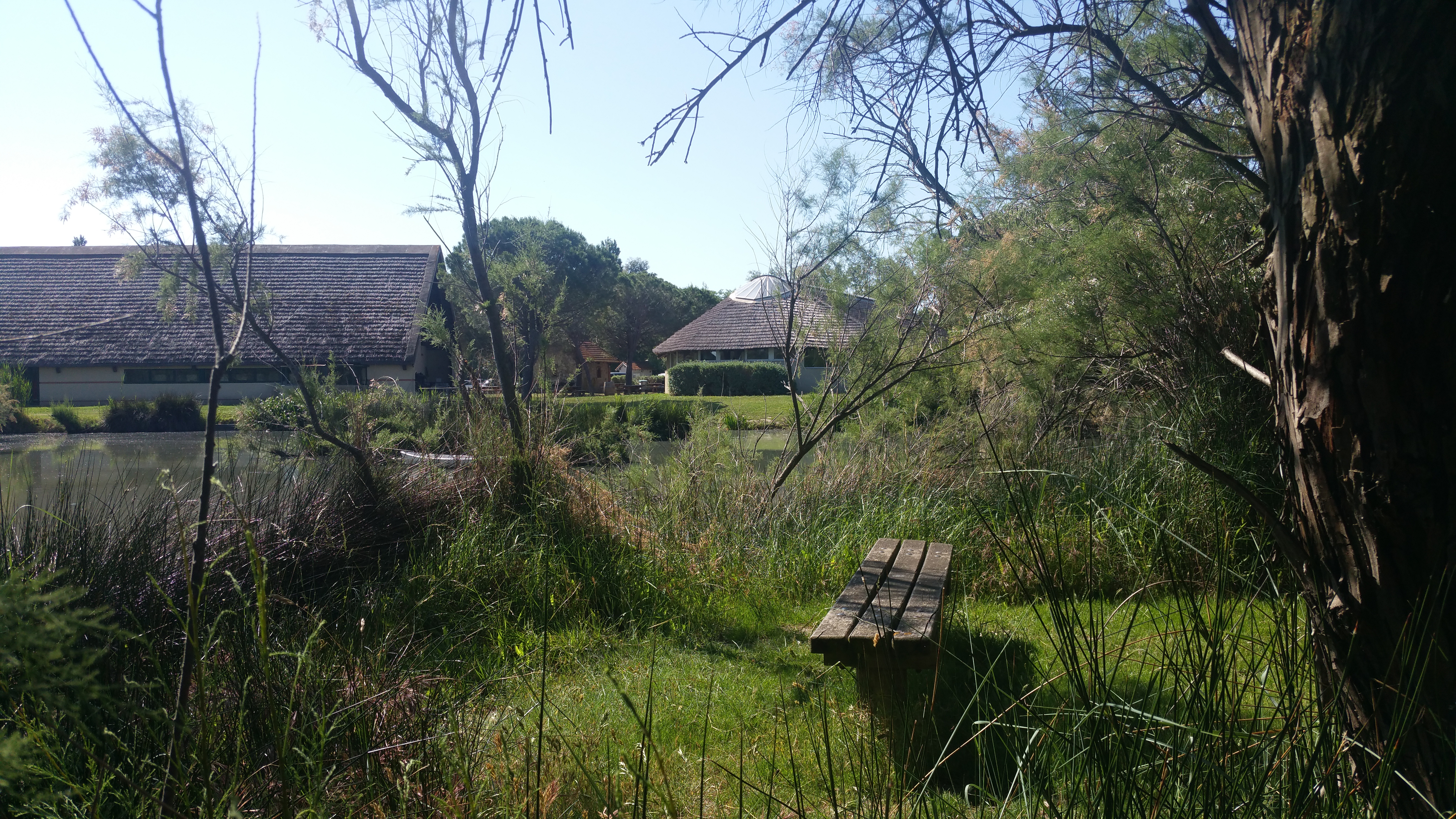 Photo n° 2 de l'avis de Swena. fait le 27/05/2017 à 10:40