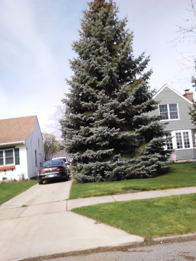 Thrift Store «AMVETS Depew», reviews and photos, 2900 Walden Ave, Depew, NY 14043, USA