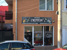 Cryton music shop