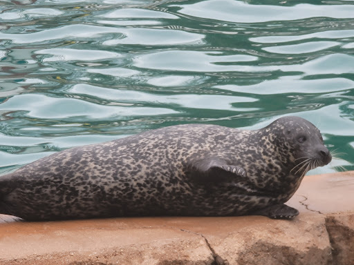 Zoo «Oceans of Fun», reviews and photos, 10001 W Bluemound Rd, Milwaukee, WI 53226, USA