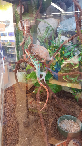 Pet Supply Store «Petco Animal Supplies», reviews and photos, 12611 Jefferson Davis Hwy, Chester, VA 23831, USA