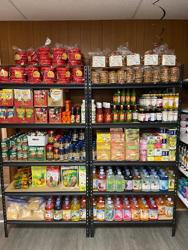 Bellas Artes Express