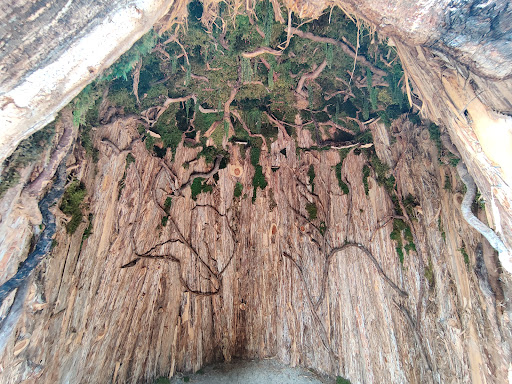 Botanical Garden «Franklin Park Conservatory and Botanical Gardens», reviews and photos, 1777 E Broad St, Columbus, OH 43203, USA