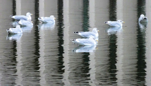 Historical Landmark «Christian Science Plaza, Boston», reviews and photos, 250 Massachusetts Avenue, Boston, MA 02115, USA