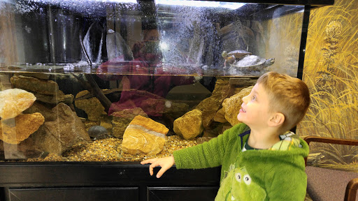 Tourist Attraction «Caesar Creek Visitor Center», reviews and photos, 4020 N Clarksville Rd, Waynesville, OH 45068, USA