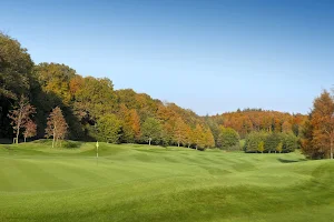 Long Ashton Golf Club image