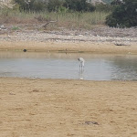 Photo n°1 de l'avis de giancarlo.a fait le 19/08/2020 à 19:56 sur le  Ristorante Camping Canne à Siculiana