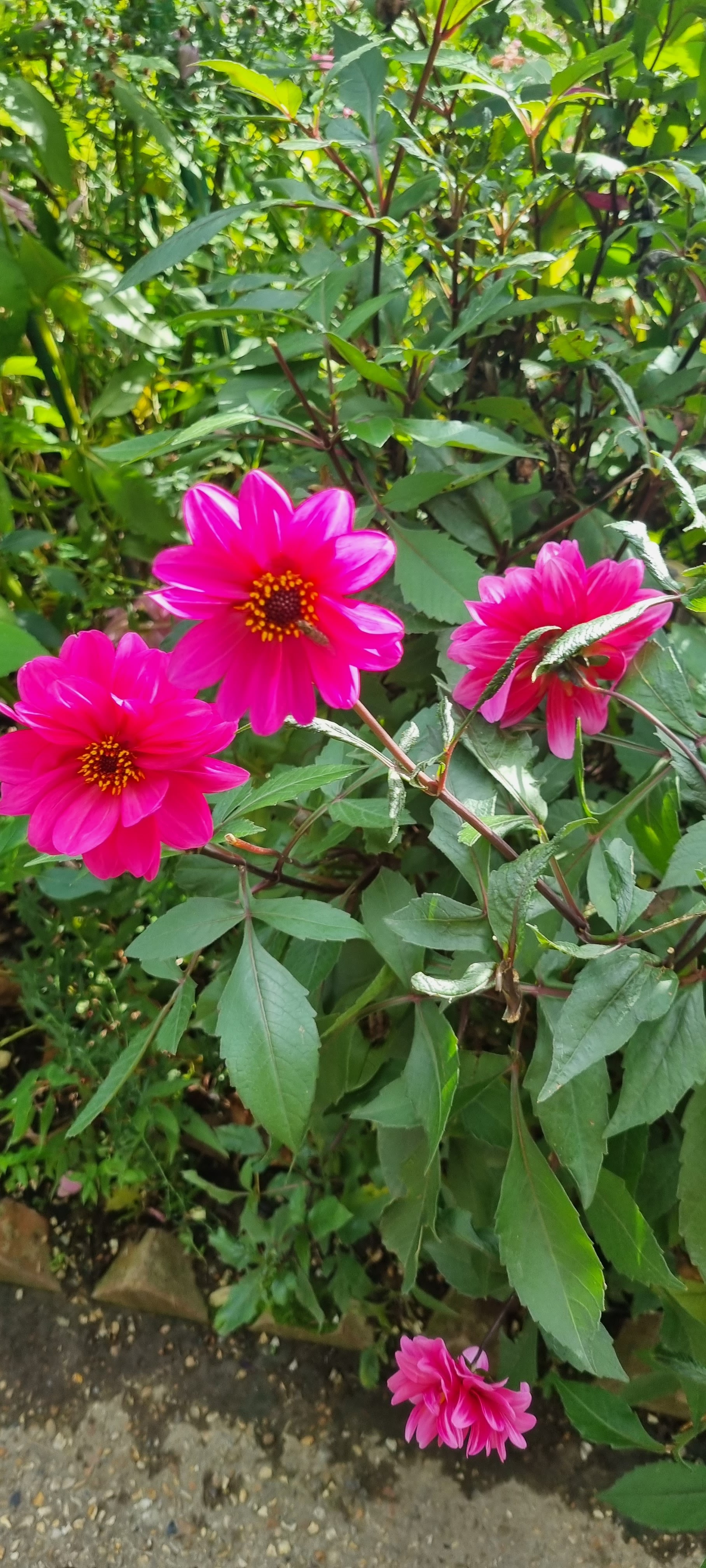 Photo n° 1 de l'avis de lemagicien40. fait le 03/11/2023 à 07:28