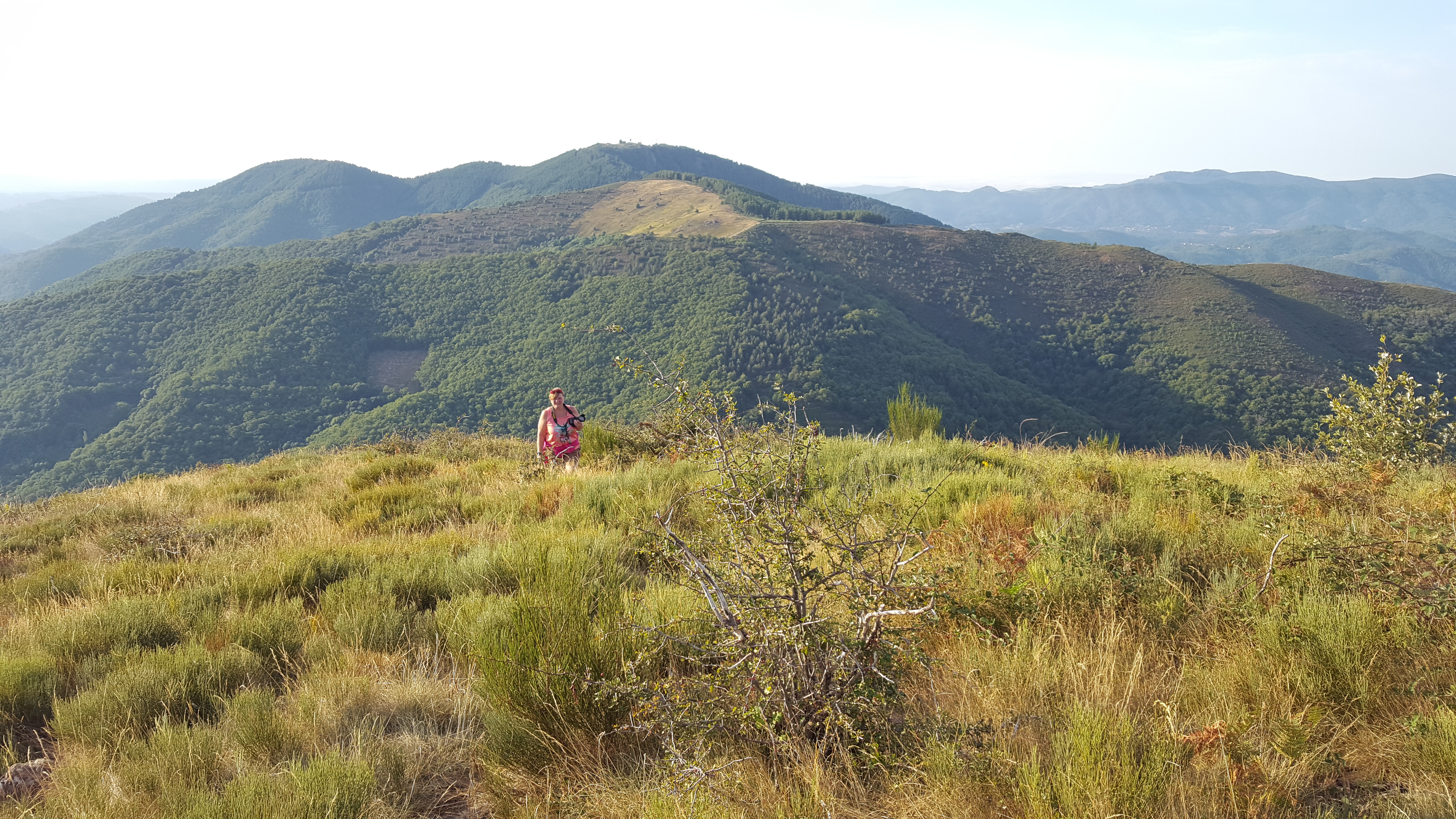 Photo n° 30 de l'avis de Joël.a fait le 24/08/2017 à 07:11