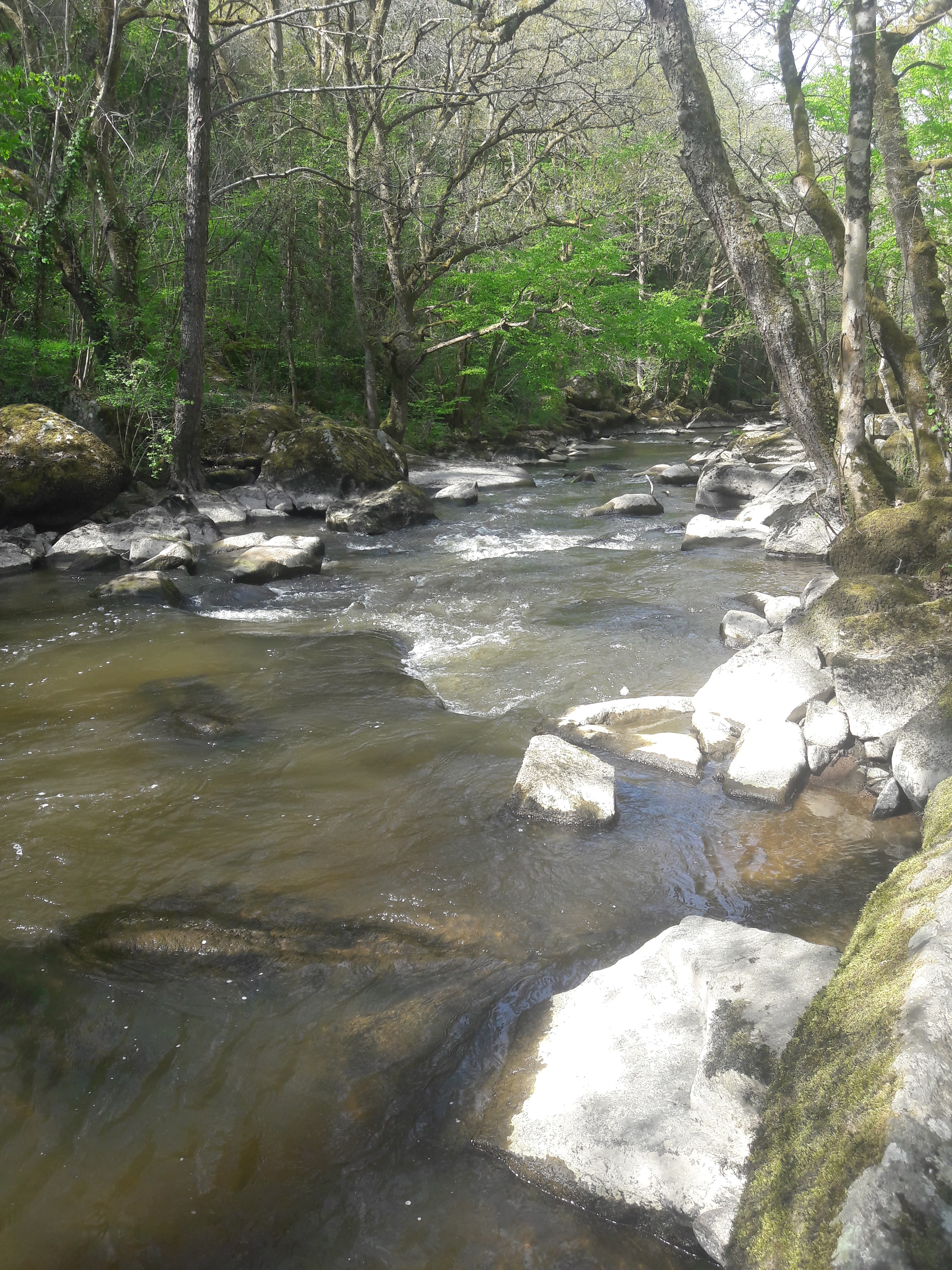 Photo n° 4 de l'avis de M. fait le 08/05/2019 à 09:37