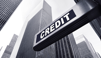 DIY Credit Repair Services