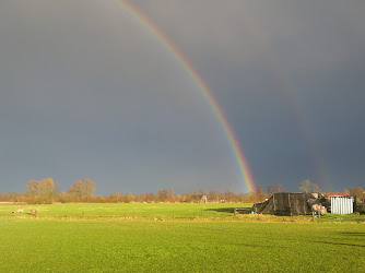 Brandhof Mode vd