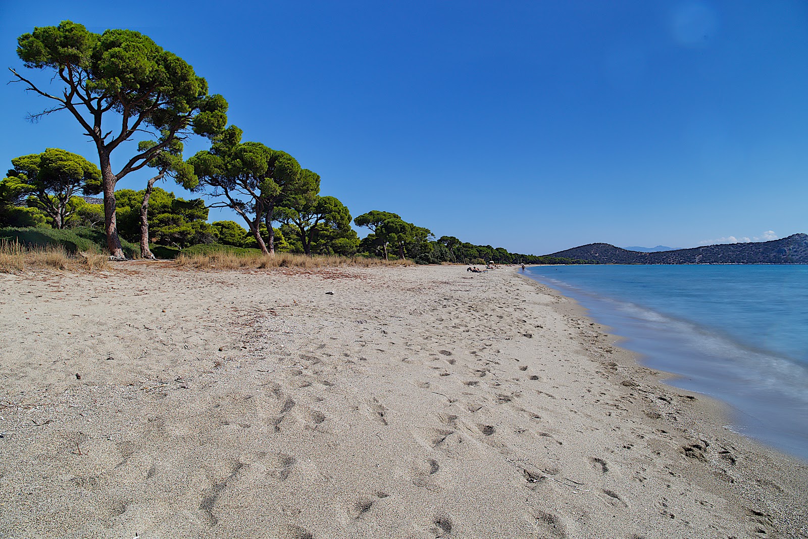 Fotografija Plaža Schinias z svetel pesek površino