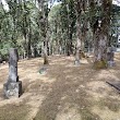 Rock Hill aka Dodge Cemetery