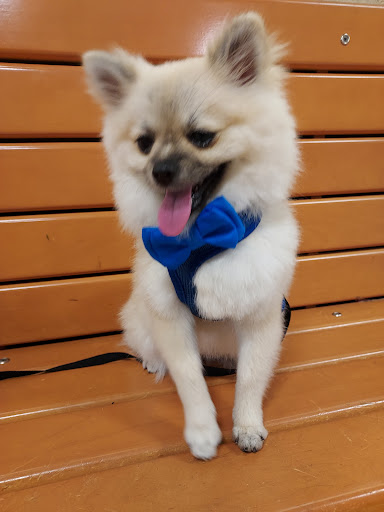 Pet Supply Store «PetSmart», reviews and photos, 777 S Willow St, Manchester, NH 03103, USA