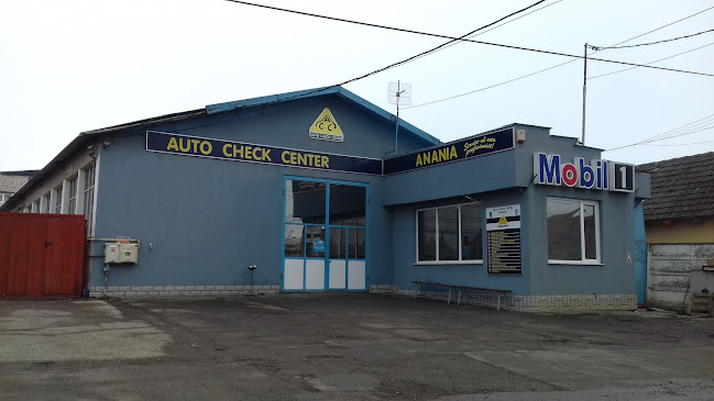 Auto Check Center - <nil>