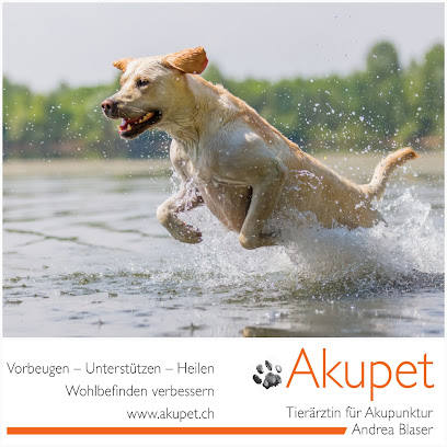 Akupet - Tierärztin für Akupunktur - Andrea Blaser