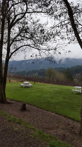 Winery «David Hill Vineyards & Winery», reviews and photos, 46350 NW David Hill Rd, Forest Grove, OR 97116, USA