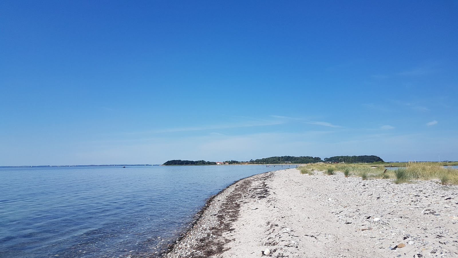 Foto av Saltofte Beach med beige sand yta