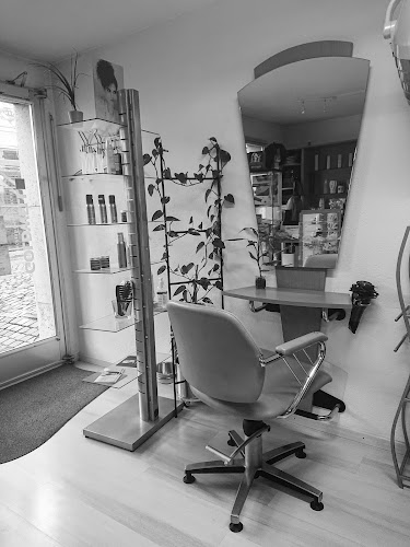 Salon de coiffure Hibiscus - Val-de-Travers NE