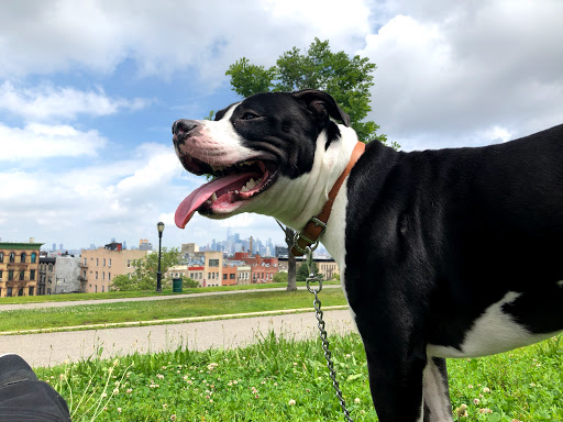 Park «Sunset Park», reviews and photos, 7th Ave & 43rd St, Brooklyn, NY 11232, USA