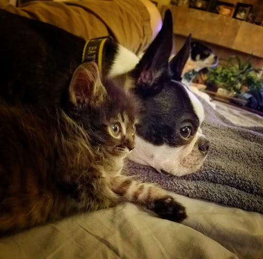 Park «Pueblo Park», reviews and photos, Peublo Vista Dr, Las Vegas, NV 89128, USA