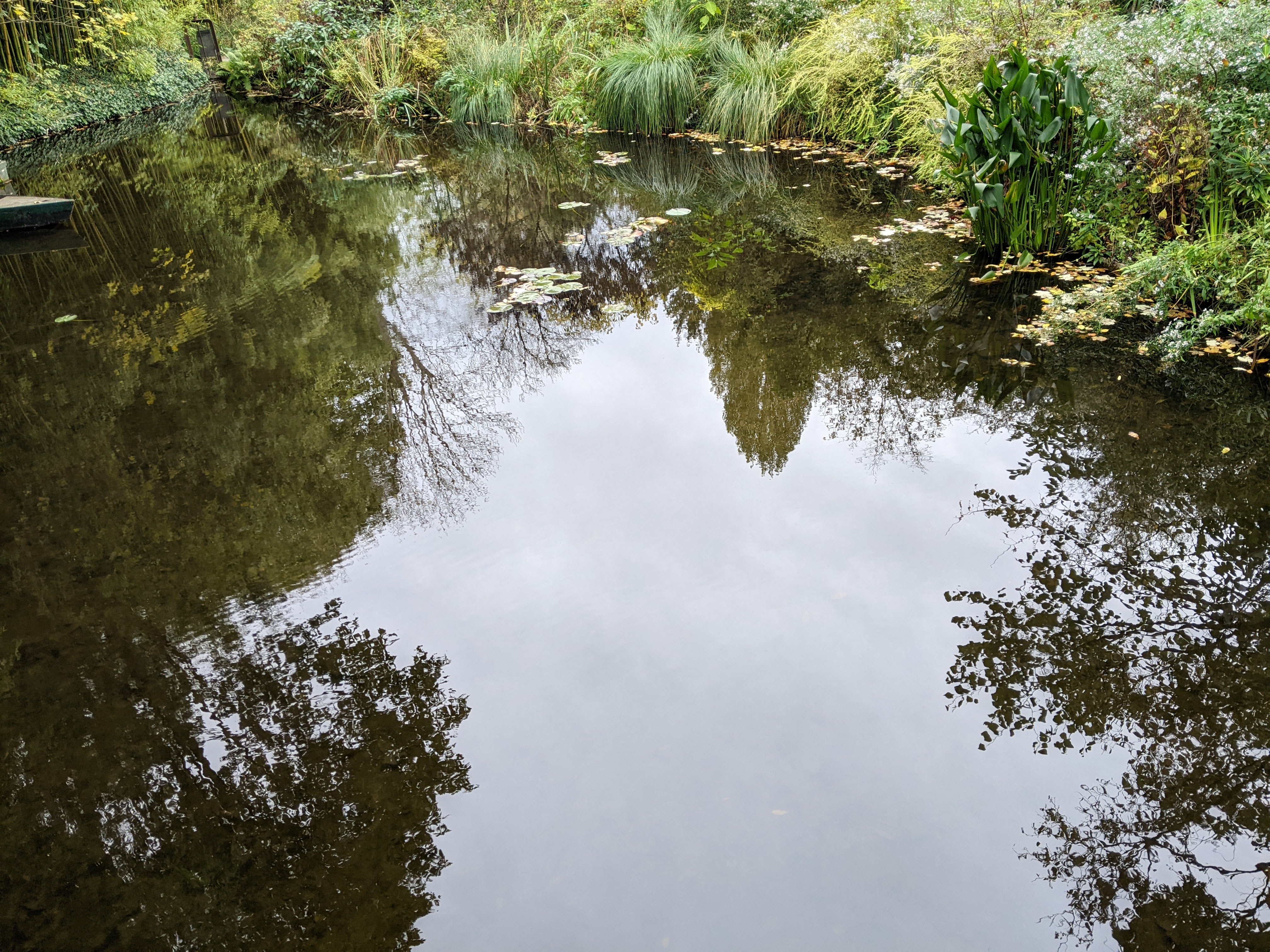 Photo n° 6 de l'avis de konrad.a fait le 08/11/2022 à 15:06