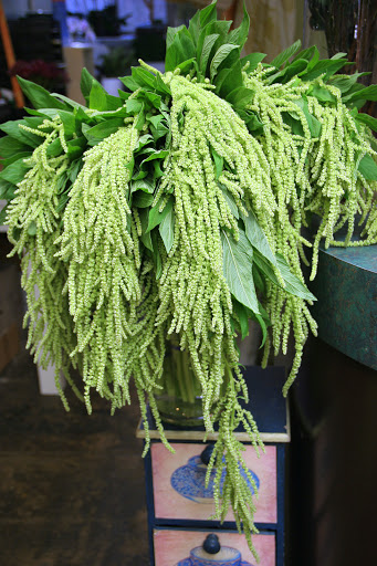 Florist «LARCHMONT VILLAGE FLORIST», reviews and photos, 420 N Larchmont Blvd, Los Angeles, CA 90004, USA