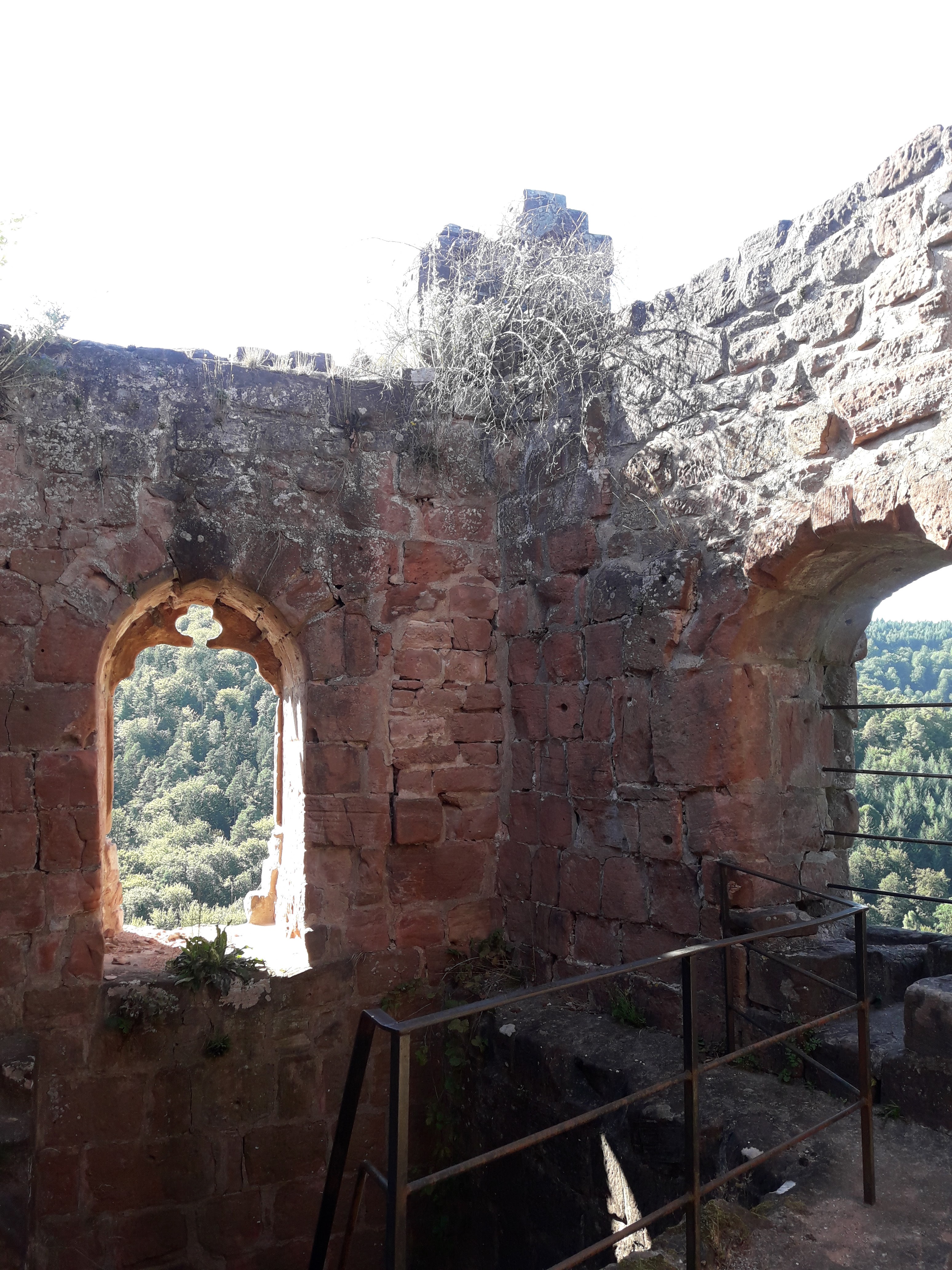 Photo n° 2 de l'avis de Renee.c fait le 05/09/2019 à 06:08