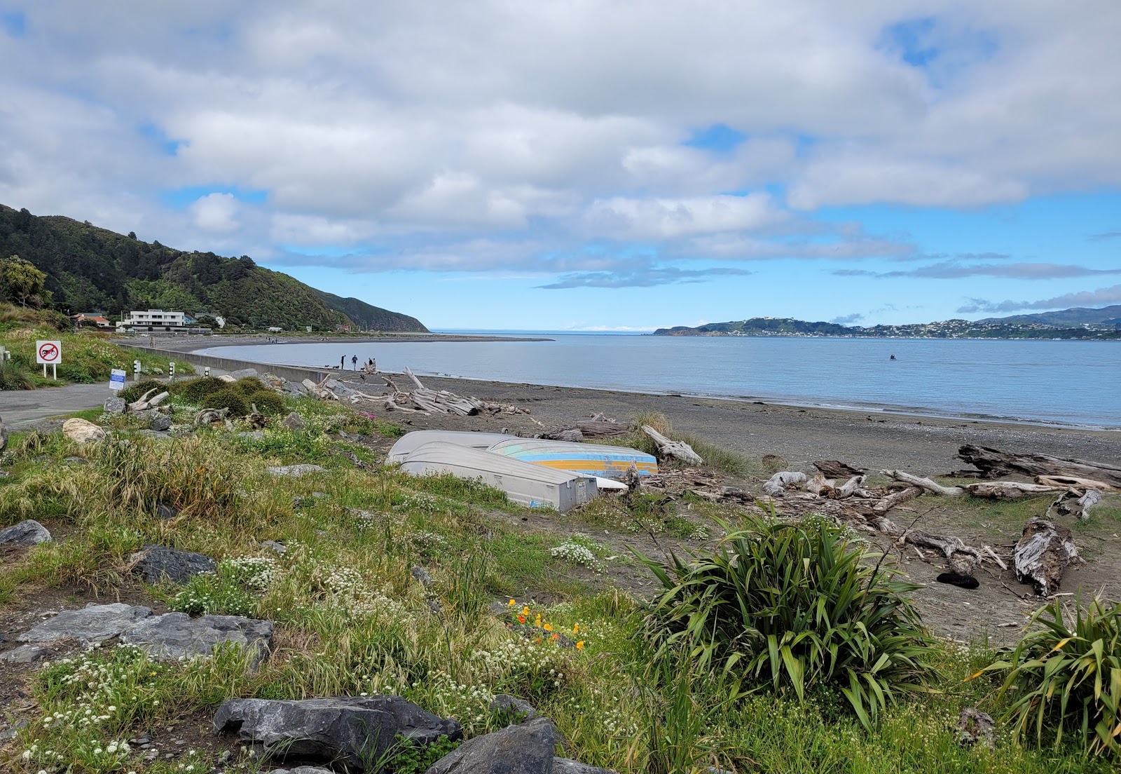 Photo de Rona Bay Beach - bon endroit convivial pour les animaux de compagnie pour les vacances
