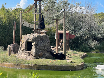 Parc zoologique à Fréjus