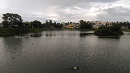 Google Maps image 14