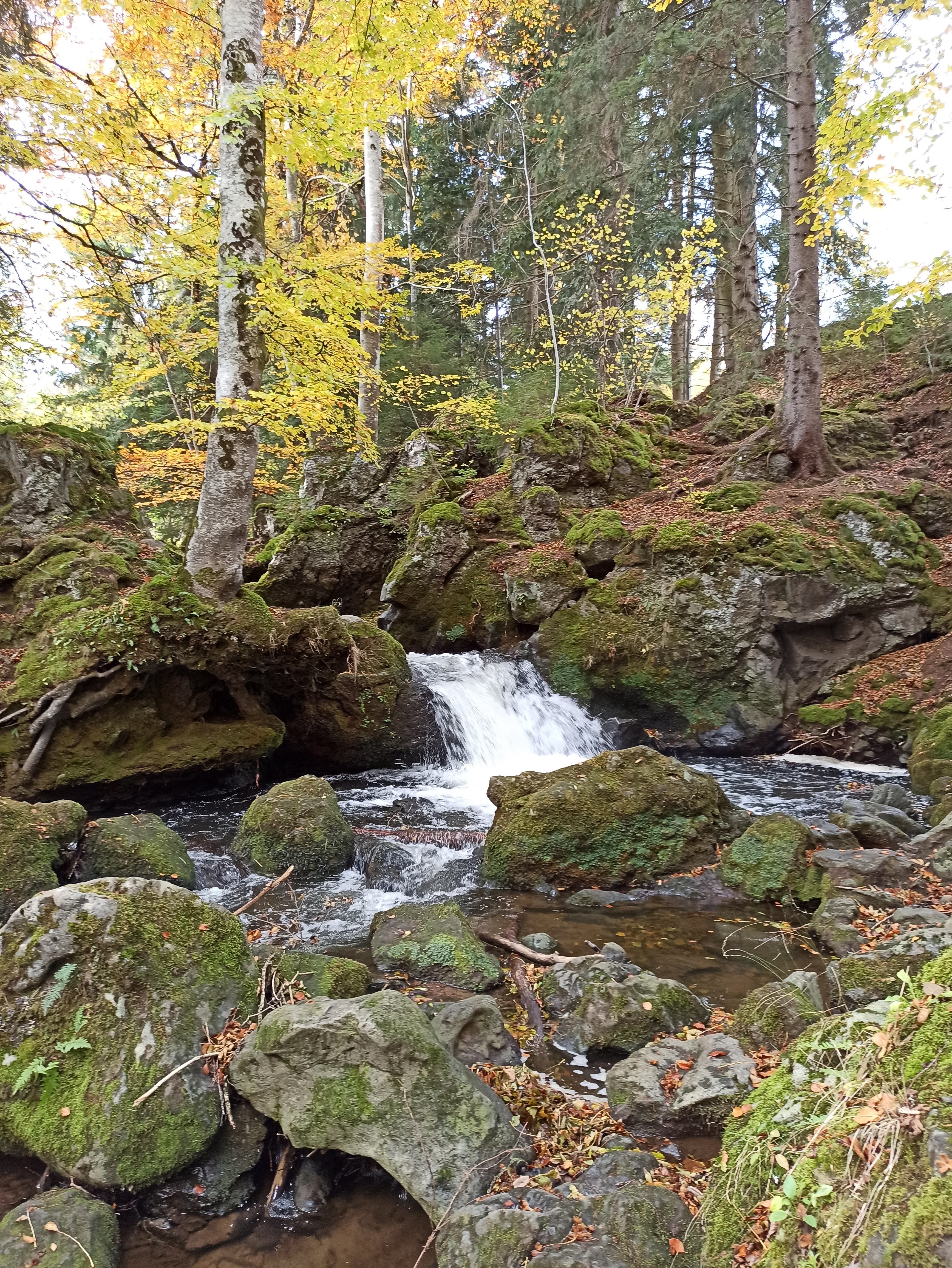 Photo n° 10 de l'avis de GAELLE.e fait le 24/10/2020 à 09:23