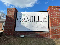 The Camille Spa and Wax Studio - Photo 9 - Car repair in Fayetteville, NC, Fayetteville