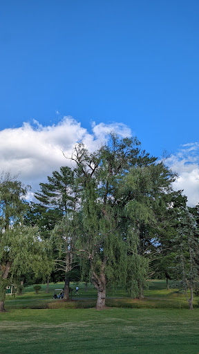 Golf Club «Woodstock Golf Club», reviews and photos, NY-212 & NY-375, Woodstock, NY 12498, USA