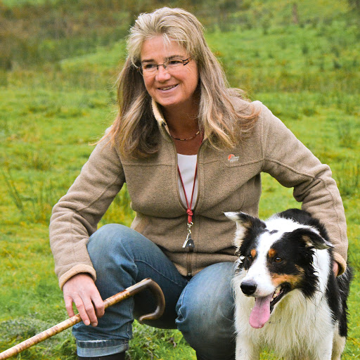 Tierarztpraxis Dr. Viola Hebeler Fachtierärztin für Pferde, Zahnmedizin Pferd, Sportmedizin Hund unter Reichshof, 