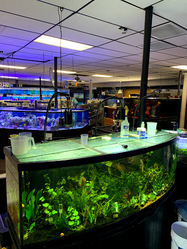 Pet Supply Store «Aquariums and Reptiles», reviews and photos, 11400 S Cleveland Ave, Fort Myers, FL 33907, USA