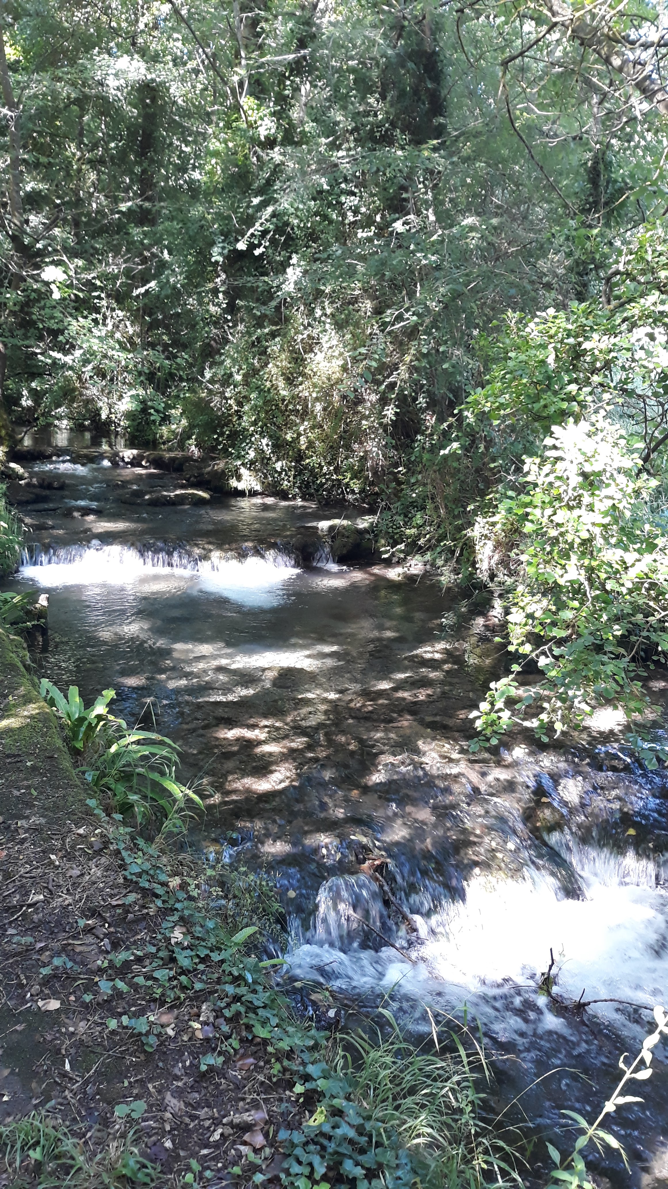 Photo n° 3 de l'avis de Pascale.r fait le 10/07/2019 à 20:36