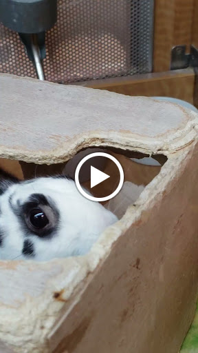 Pet Store «Animal Ark», reviews and photos, 175 S 500 E St, American Fork, UT 84003, USA