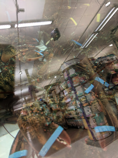 Grocery Store «Stop & Shop», reviews and photos, 250 Bellevue Ave, Newport, RI 02840, USA