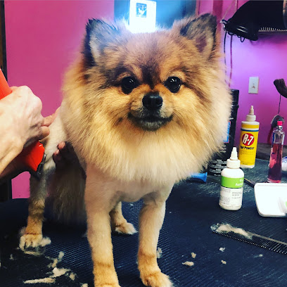Viva La Pooch Pet Salon