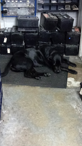 Ford Dealer «Tipton Ford Inc», reviews and photos, 965 E Jefferson St, Tipton, IN 46072, USA