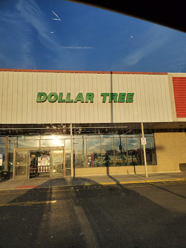 Dollar Store «Dollar Tree», reviews and photos, 135 Bloomfield Ave, Bloomfield, NJ 07003, USA