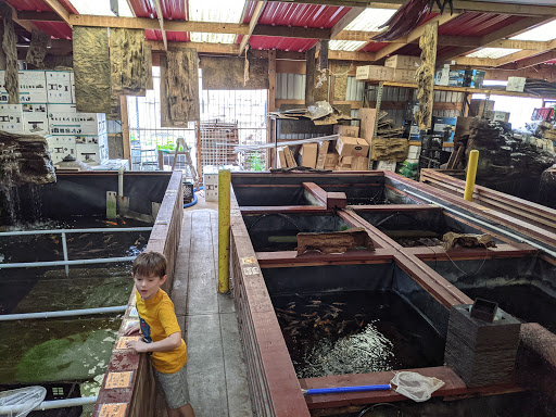 Pet Store «Fish-N-Pets Unlimited», reviews and photos, 11710 Bissonnet St, Houston, TX 77099, USA